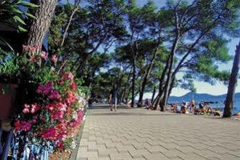 Adria Apartments Biograd Na Moru Dış mekan fotoğraf